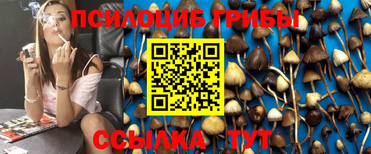 Псилоцибиновые грибы мицелий Гуково