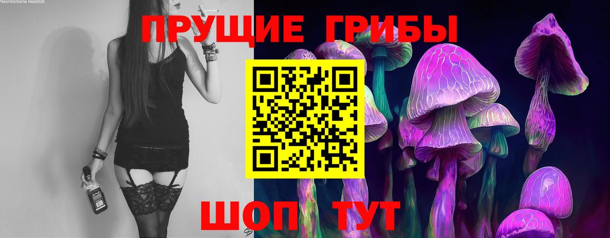 Гуково  Галлюциногенные грибы Cubensis  Вход с VPN 